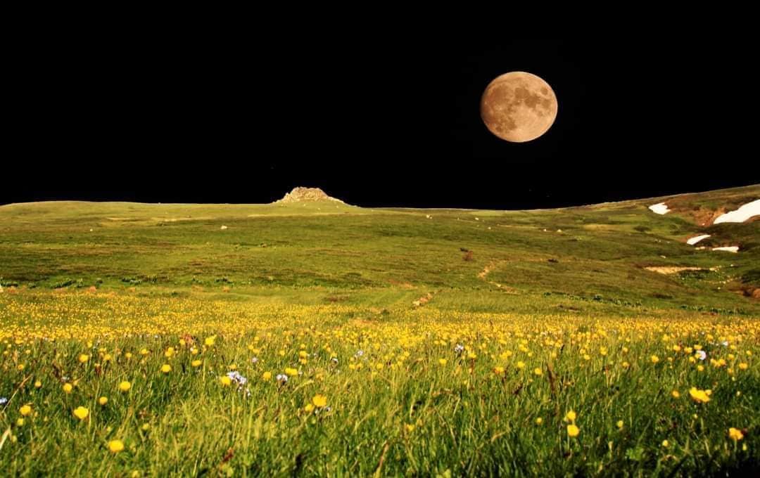 Shendriti Hena FB IMG 1642707191979