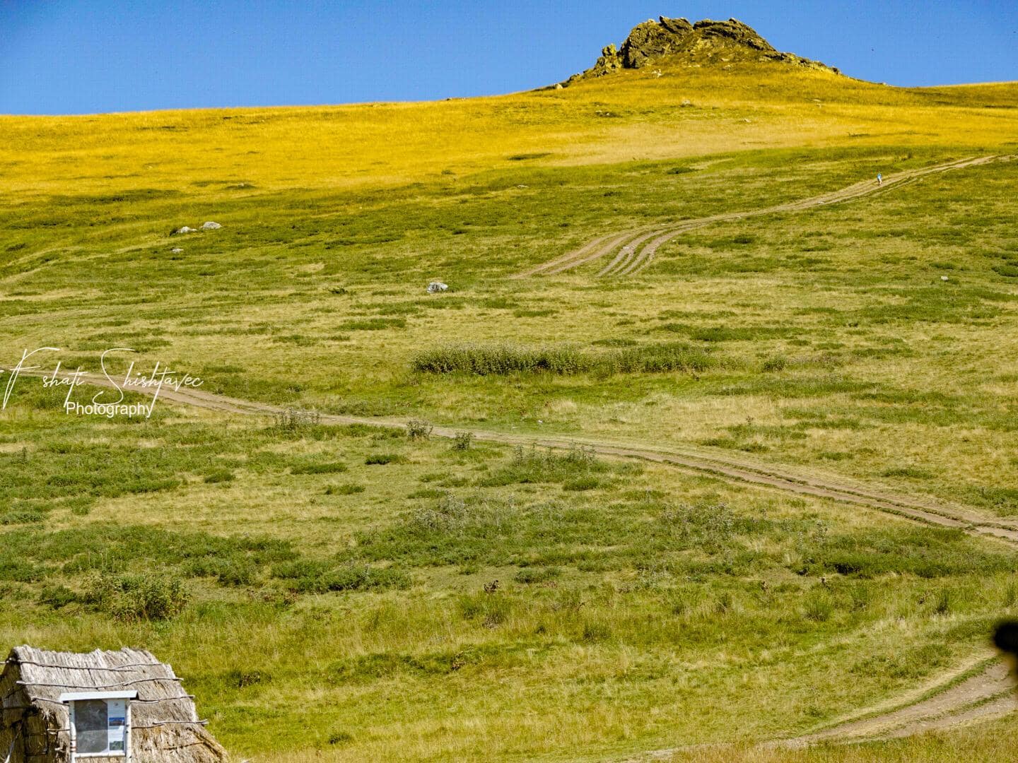 Guri Mengjesit ( Murga) Murga